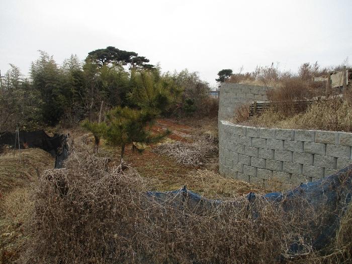 경기도 화성시 서신면 궁평리 160-12 전 경매 사진 12