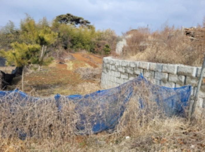 경기도 화성시 서신면 궁평리 160-12 전 경매 사진 17