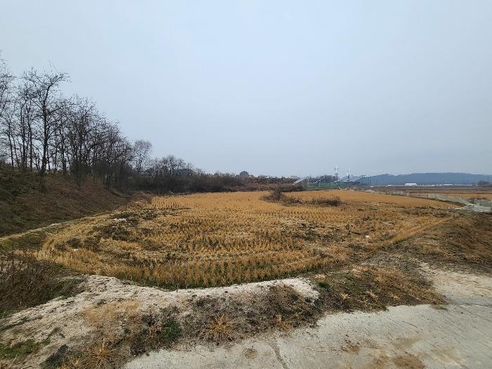 경기도 여주시 세종대왕면 왕대리 산73-4 임야 경매 사진 2