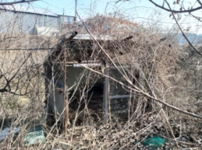 충청남도 당진시 송악읍 중흥리 513 임야 경매 사진 32
