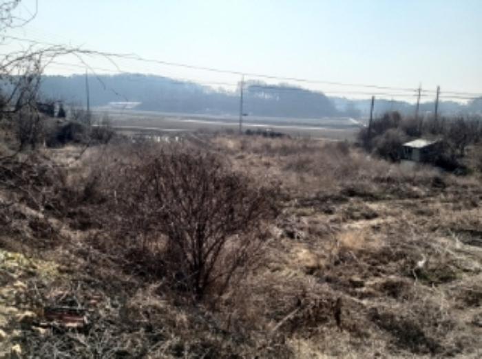 충청남도 당진시 송악읍 중흥리 513 임야 경매 사진 40