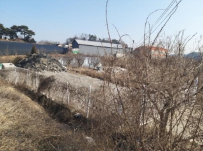충청남도 당진시 송악읍 중흥리 513 임야 경매 사진 44