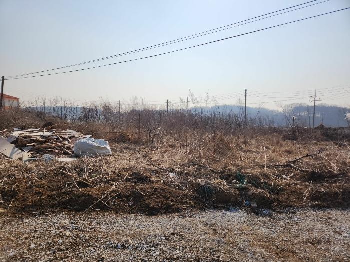 충청남도 당진시 송악읍 중흥리 513 임야 경매 사진 7
