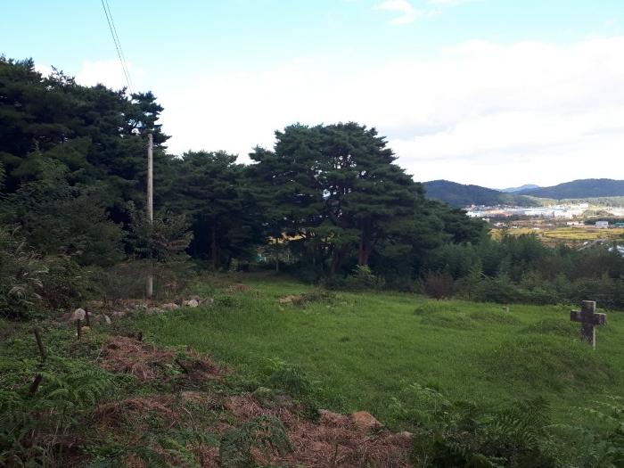 울산광역시 울주군 상북면 길천리 1127 임야 경매 사진 4