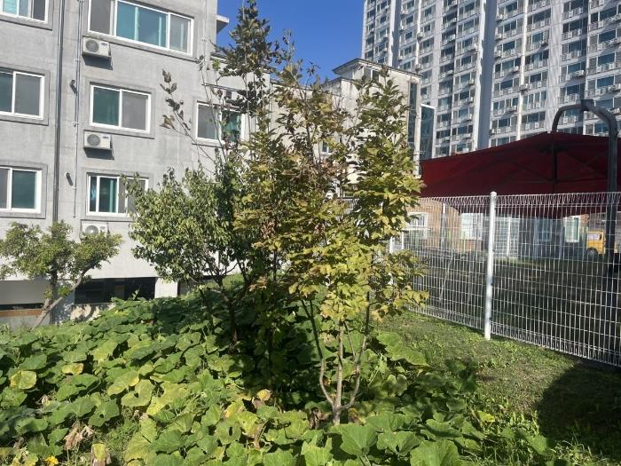 광주광역시 북구 양산동 93-5 도로 경매 사진 33