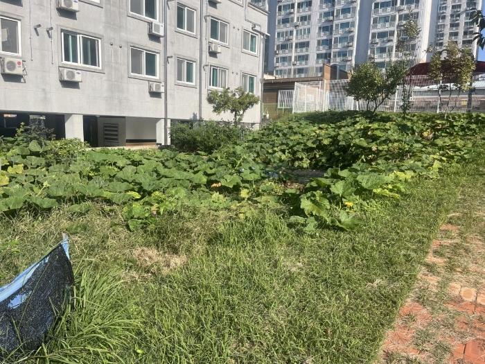 광주광역시 북구 양산동 93-6 도로 경매 사진 31