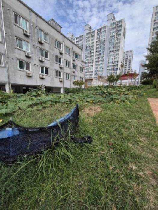 광주광역시 북구 양산동 93-6 도로 경매 사진 49