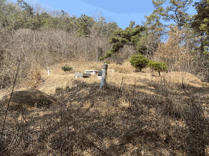 전라남도 나주시 삼영동 산42 임야 경매 사진 3