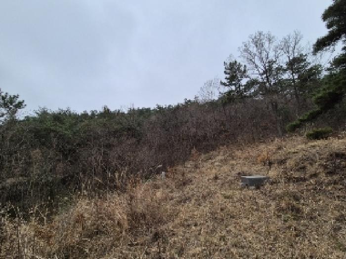 전라남도 나주시 삼영동 산42 임야 경매 사진 4