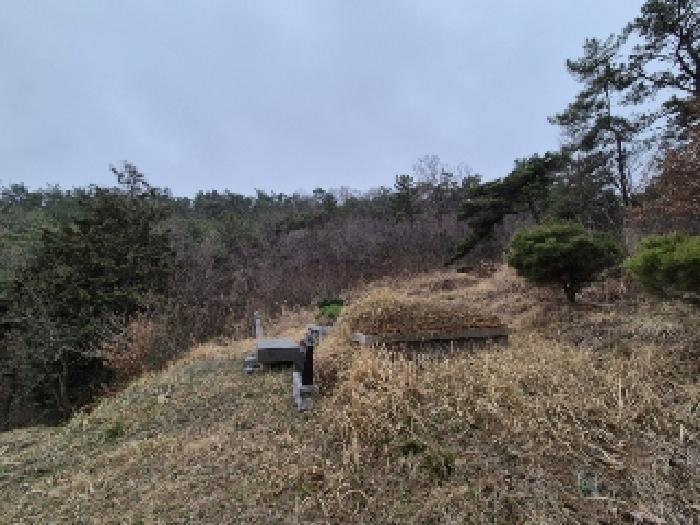 전라남도 나주시 삼영동 산42 임야 경매 사진 5