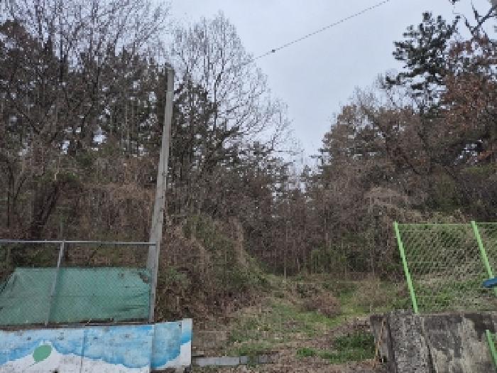 전라남도 나주시 삼영동 산42 임야 경매 사진 8