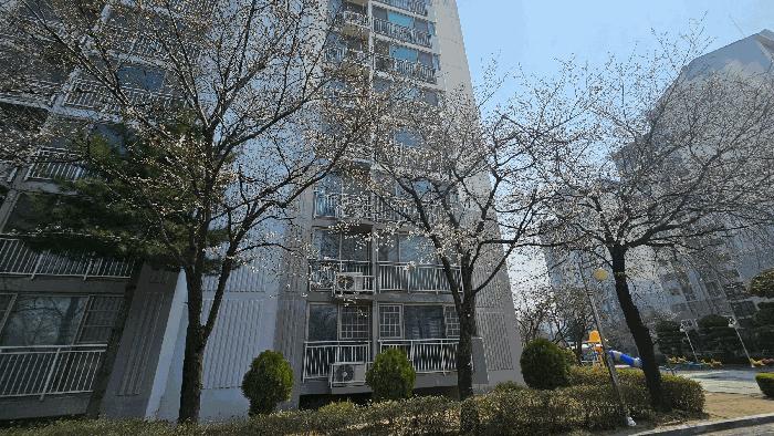 충청북도 청주시 상당구 용암동 2915 청주신영강변뜨란채아파트 104동 3층 303호 아파트 경매 사진 2