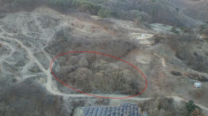 세종특별자치시 장군면 금암리 252 답 경매 사진 11