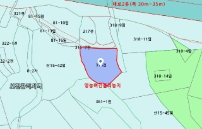 세종특별자치시 장군면 금암리 252 답 경매 사진 34