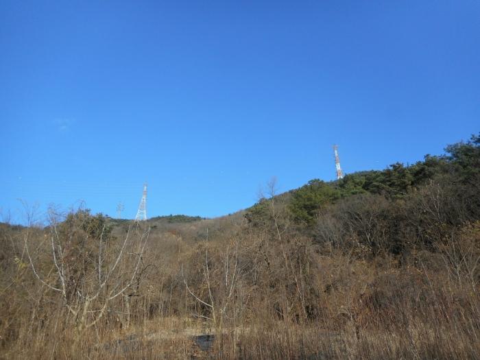 경상북도 경산시 하양읍 대곡리 산16 임야 경매 사진 1