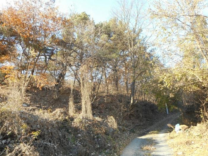 경상북도 경산시 하양읍 대곡리 산16 임야 경매 사진 2