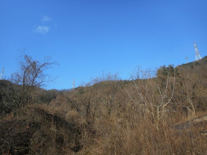 경상북도 경산시 하양읍 대곡리 산16 임야 경매 사진 3