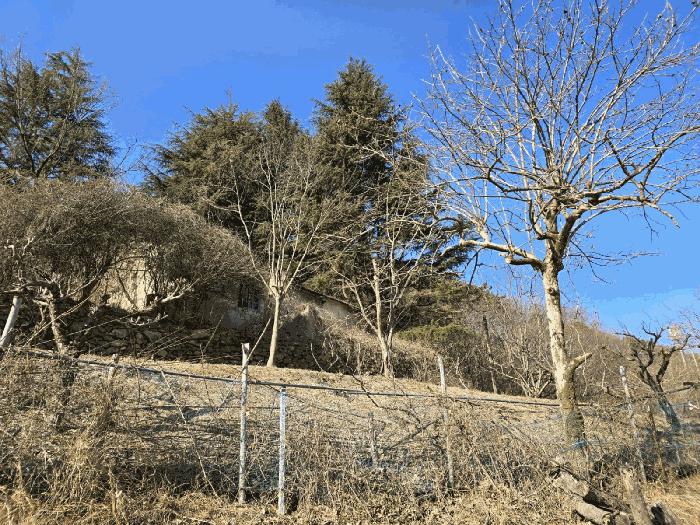 경상남도 양산시 명곡동 714 답 경매 사진 10
