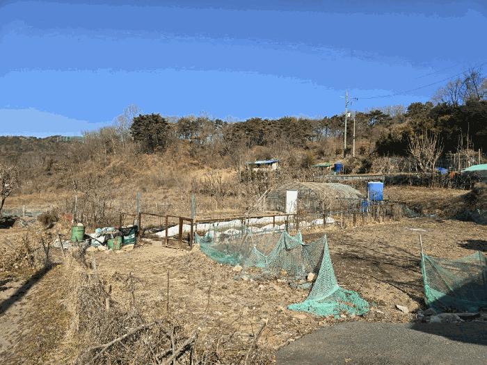 경상남도 양산시 명곡동 714 답 경매 사진 11