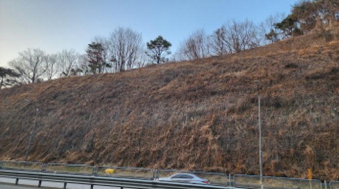 경상남도 양산시 명곡동 714 답 경매 사진 13