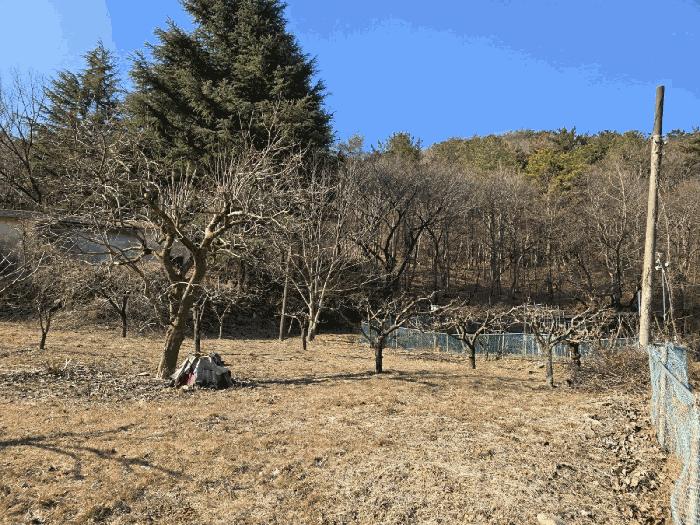 경상남도 양산시 명곡동 714 답 경매 사진 2