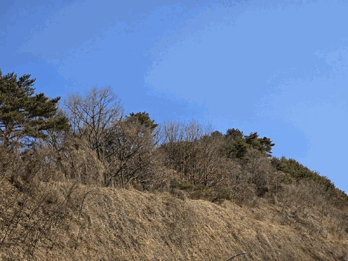 경상남도 양산시 명곡동 714 답 경매 사진 4