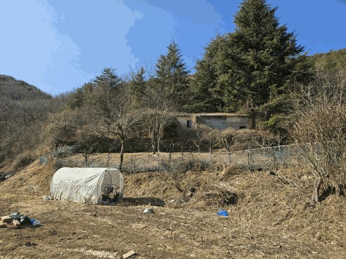 경상남도 양산시 명곡동 714 답 경매 사진 8