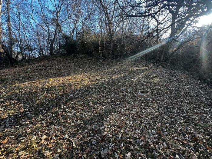 경상남도 함안군 함안면 북촌리 530-1 전 경매 사진 1