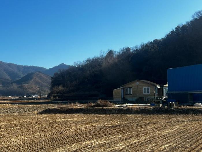 경상남도 함안군 함안면 북촌리 530-1 전 경매 사진 2