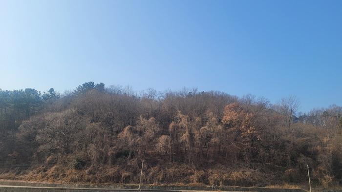 경상남도 함안군 함안면 북촌리 530-1 전 경매 사진 4