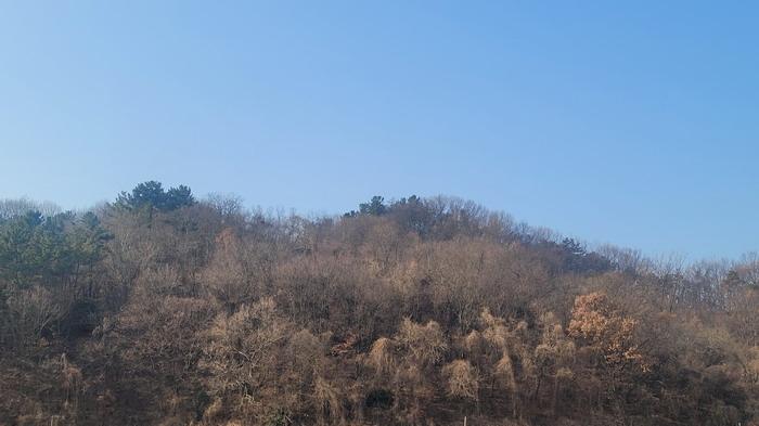 경상남도 함안군 함안면 북촌리 530-1 전 경매 사진 5