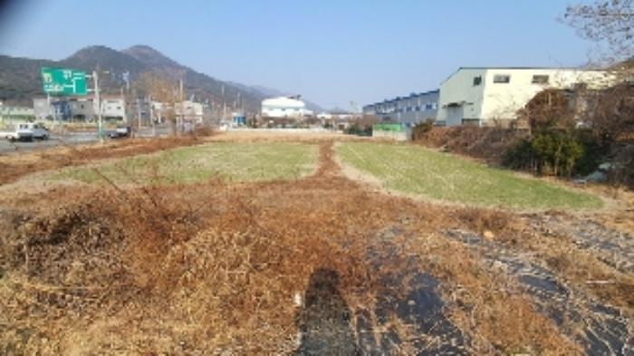 경상남도 창원시 마산합포구 진북면 망곡리 578-4 답 경매 사진 1
