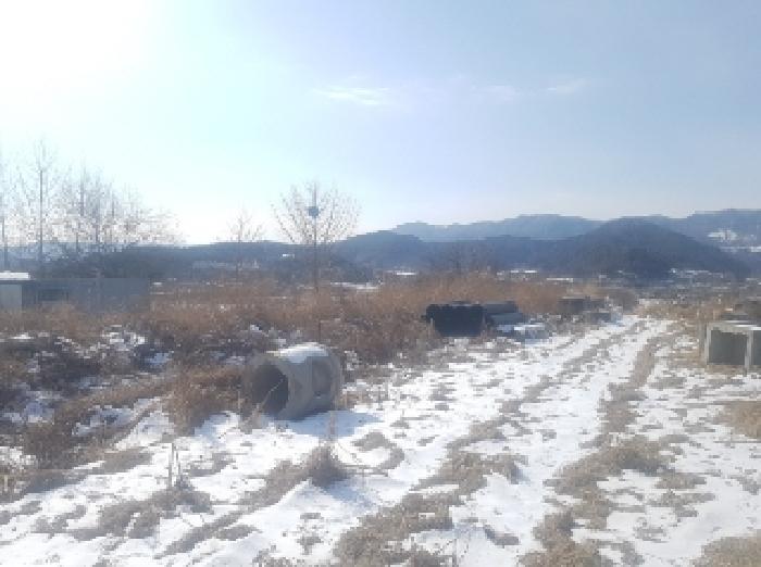 강원특별자치도 홍천군 서면 모곡리 518-49 답 경매 사진 47