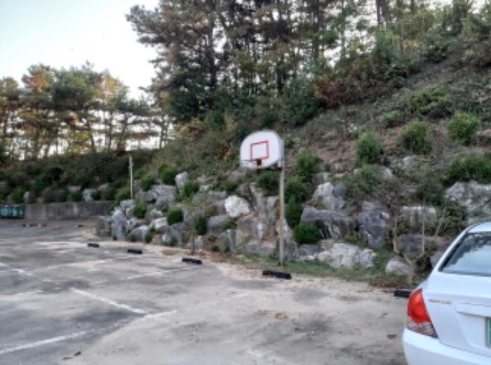 경기도 평택시 포승읍 원정리 305-6 종교시설 경매 사진 21