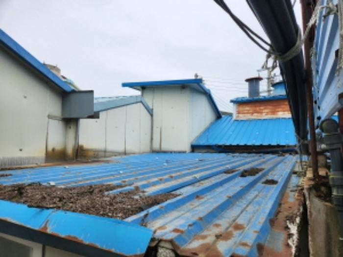 전라북도 부안군 하서면 장신리 493-2 공장 경매 사진 44
