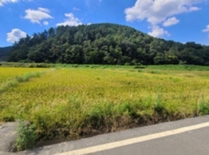 경상남도 진주시 지수면 청담리 622 답 경매 사진 17