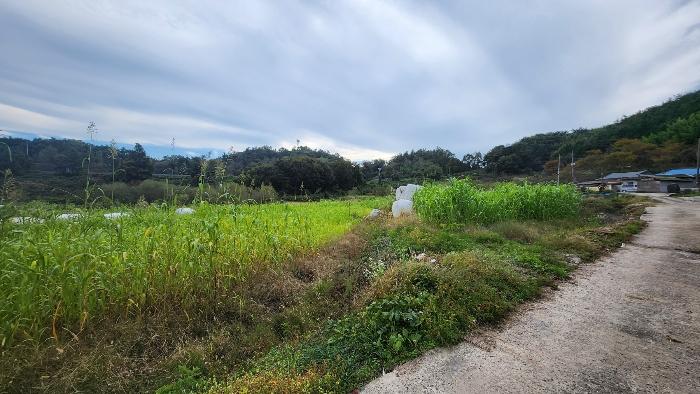 경상남도 사천시 곤양면 남문외리 23 근린주택 경매 사진 4