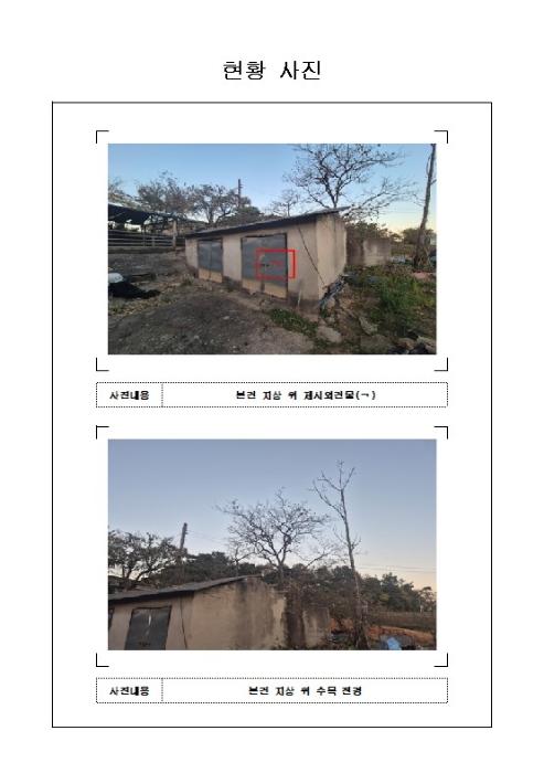 전라남도 무안군 일로읍 광암리 506-4 임야 경매 사진 6