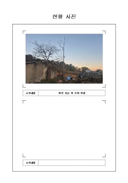 전라남도 무안군 일로읍 광암리 506-4 임야 경매 사진 7