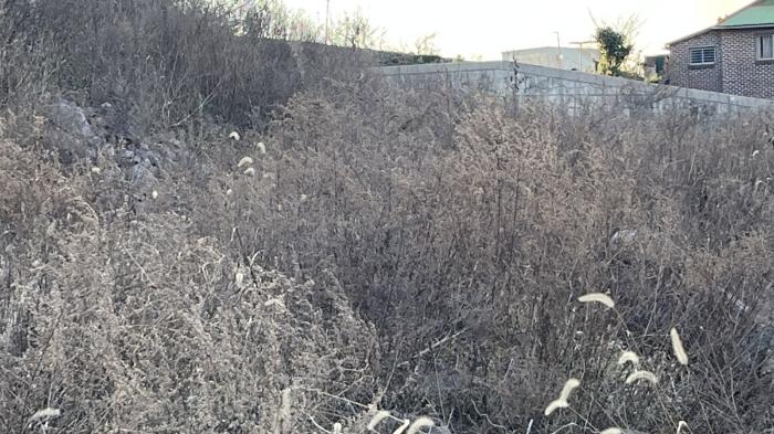 전라남도 무안군 무안읍 성남리 197 전 경매 사진 6