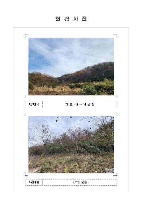 전라남도 함평군 신광면 원산리 126 유지 경매 사진 4