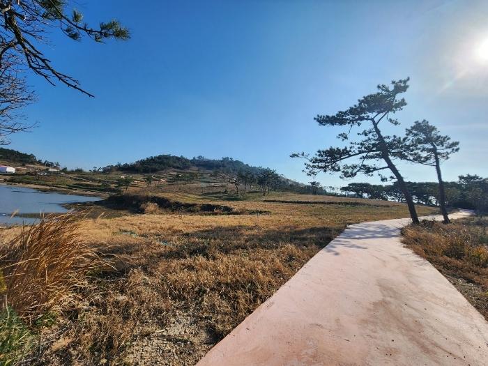 전라남도 신안군 흑산면 다물도리 125 전 경매 사진 2