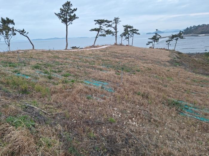 전라남도 신안군 흑산면 다물도리 125 전 경매 사진 3