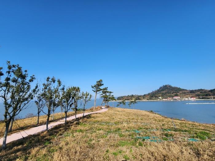 전라남도 신안군 흑산면 다물도리 125 전 경매 사진 6