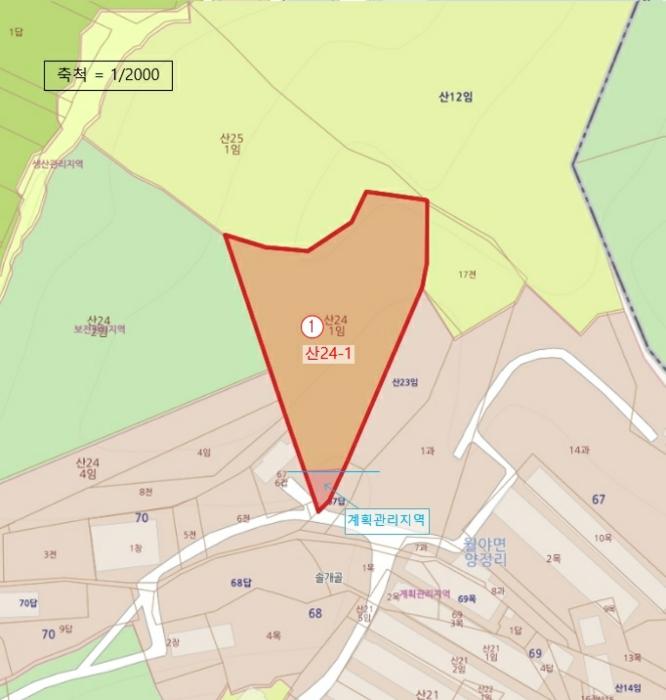전라남도 함평군 월야면 양정리 산64-4 임야 경매 사진 13