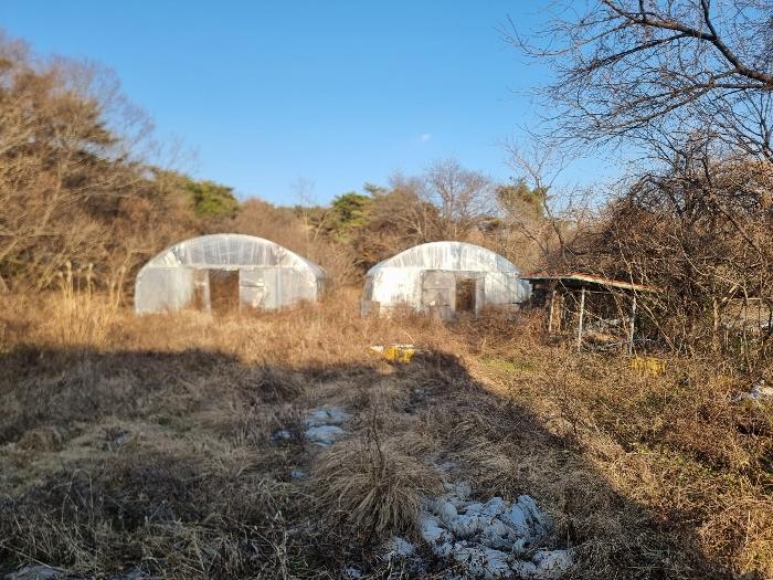 전라남도 함평군 월야면 양정리 산64-4 임야 경매 사진 2