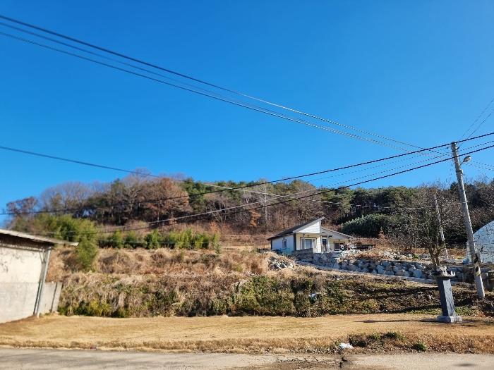 전라남도 함평군 월야면 양정리 산64-4 임야 경매 사진 3