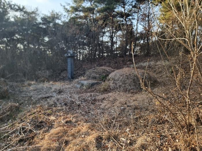 전라남도 함평군 월야면 양정리 산64-4 임야 경매 사진 4