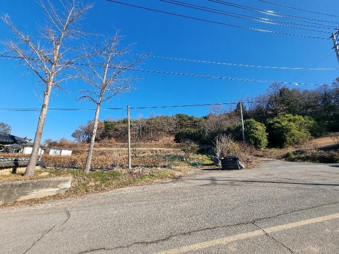 전라남도 함평군 월야면 양정리 산64-4 임야 경매 사진 5