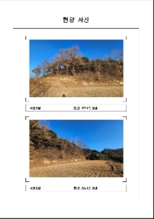 전라남도 함평군 월야면 양정리 산64-4 임야 경매 사진 8